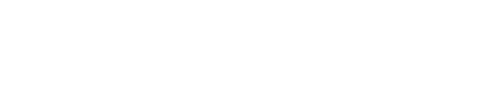 Partners
